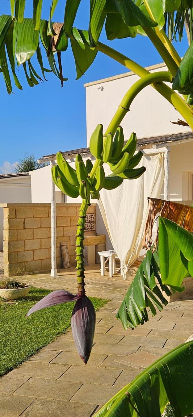 Tenuta Puloni أوترانتو المظهر الخارجي الصورة